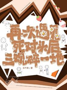 再次遇见他免费阅读